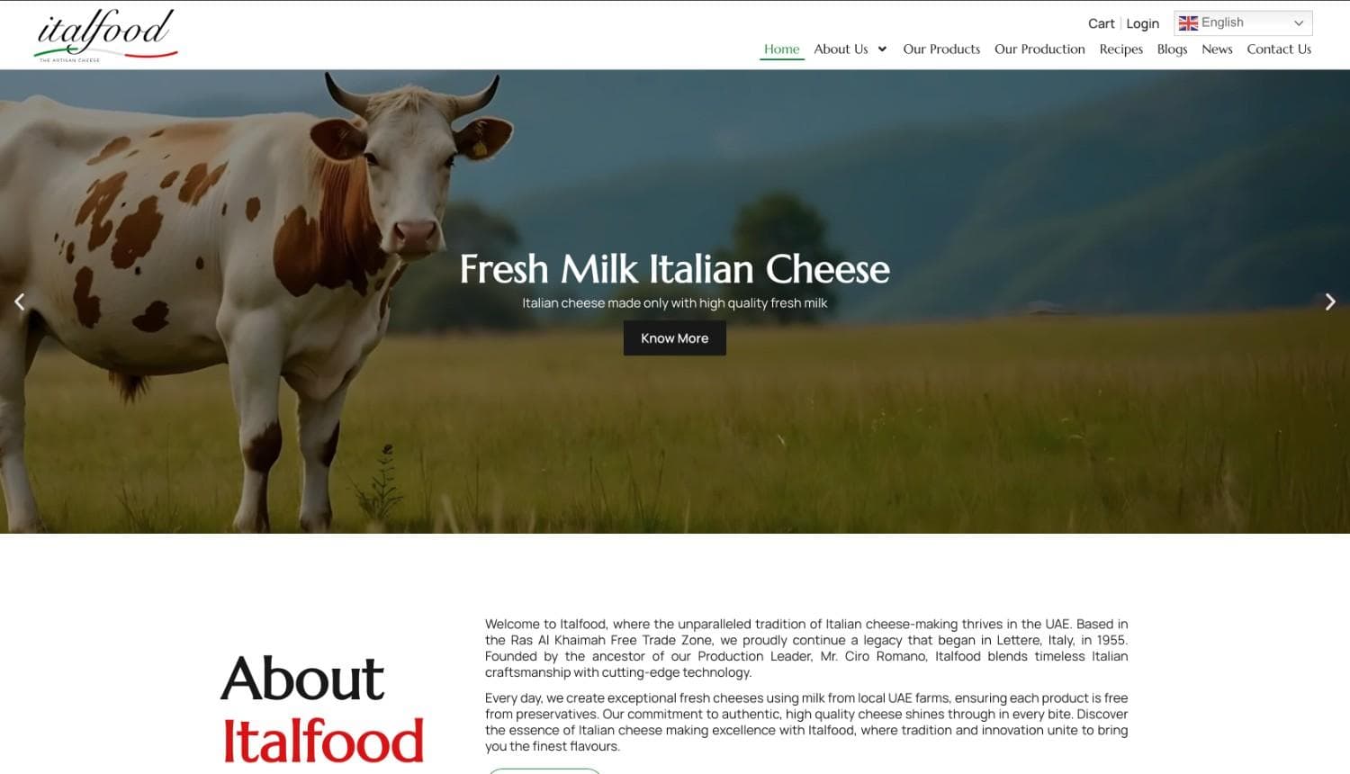 Italfood brand SEO and organic growth case study