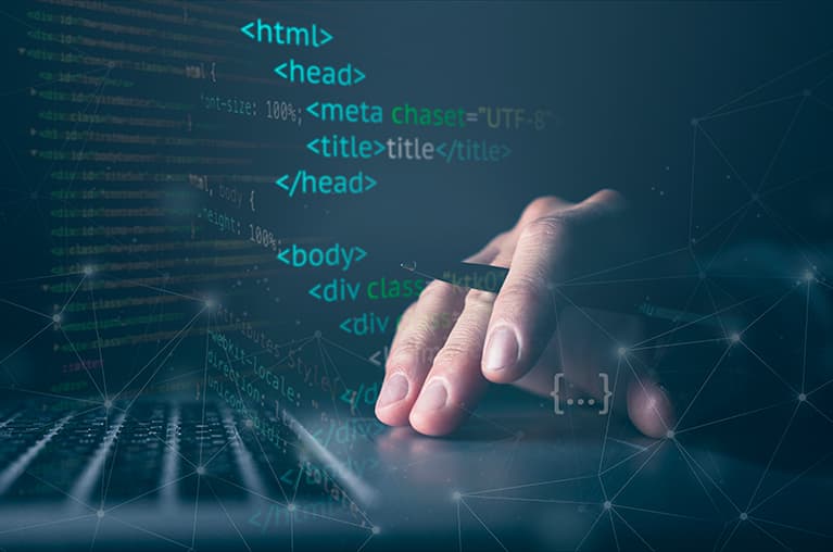 Professional website and web application development
